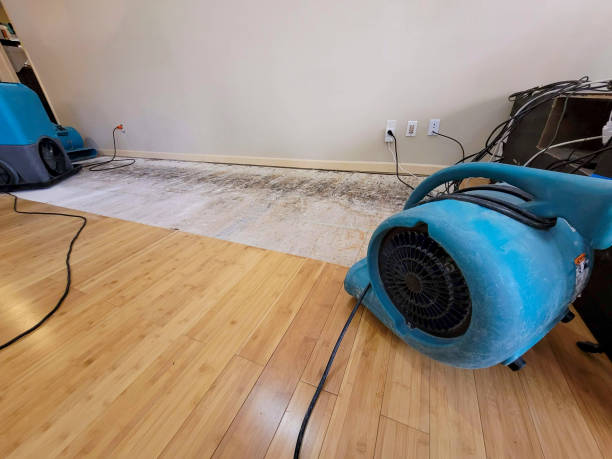 Professional Water Removal technician working in Mount Vernon, AL